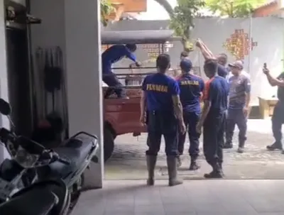 Monyet Ekor Panjang Resahkan Warga di Jember