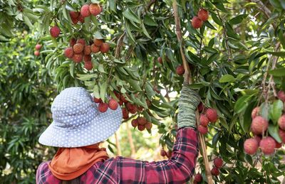 7 Puisi Singkat Tentang Kebun Buah, Manisnya Bikin Hati Adem