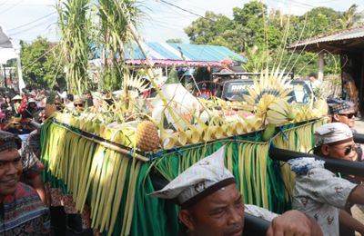 Beragam Tumpeng Diarak di Banyuwangi: Tradisi Takir Sewu Rayakan Syukur Petani Sraten