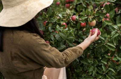 17 Caption Singkat untuk Foto di Kebun Buah Dalam Bahasa Inggris yang Aesthetic dan Bikin Feed Makin Segar!