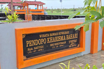 Wisata Sawah Suwarak, Tempat Asyik untuk Menikmati Hijaunya Alam Sambil Rekreasi di Tegal