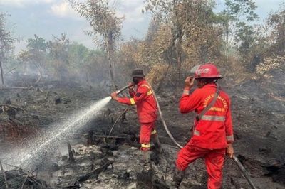 Karhutla di Kampar Riau Capai 30 Hektare, Polisi Selidiki Dugaan Pembakaran Lahan