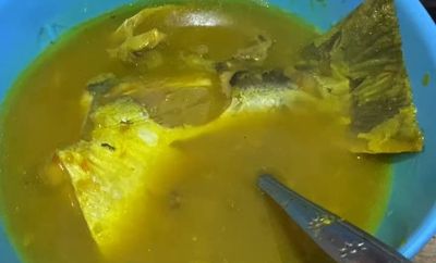 Lezatnya Warisan Rasa dari Jambi: Tempoyak Ikan Patin yang Bikin Ketagihan!