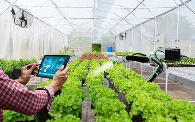 Smart Farming Berbasis IoT: Solusi Pertanian Modern yang Cerdas dan Berkelanjutan