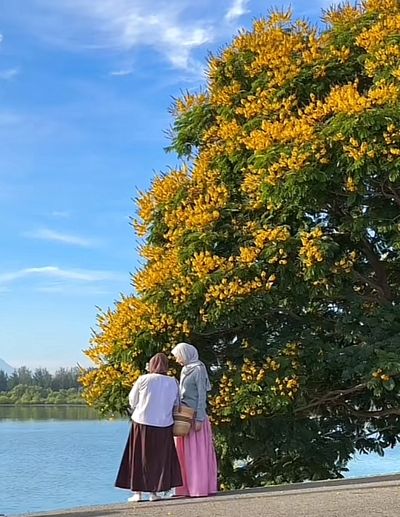 Tempat Viral di Banda Aceh Ini Disebut Mirip Pulau Jeju, Sudah Pernah ke Sana?