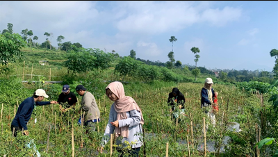 Kolaborasi KKN Undip Bersama Petani Macanan: Wujudkan Pertanian Unggul Lereng Merbabu