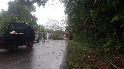 Bangka Belitung Dilanda Hujan Deras dan Angin Kencang, Jalanan Licin, Waspada Pohon Tumbang