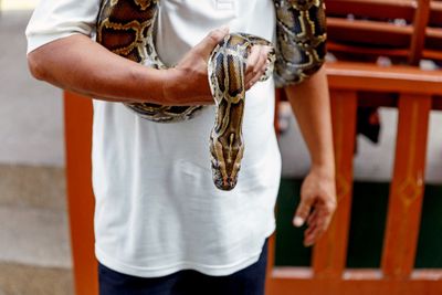 5 Arti Mimpi Dililit Ular Menurut Primbon Jawa, Jangan Diabaikan!
