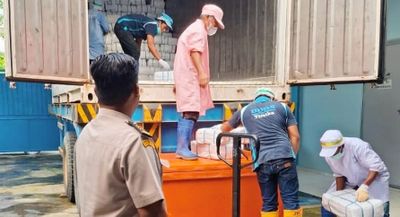 Puluhan Ton Ikan dan Kepiting Dikirim ke Jakarta dan Makassar: Balai Karantina Lakukan Pemeriksaan