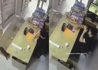 Viral Video Lucu Kucing Hitam Geser Kotak Diam-diam, Pemilik Toko Auto Kabur!