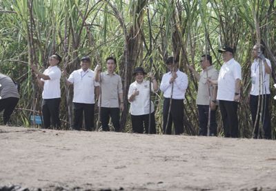 Hadiri Panen Raya Tebu di Sleman, Wapres Gibran Targetkan Swasembada Gula Penuh pada 2028, Minta Sinergi Pusat dan Daerah Diperkuat