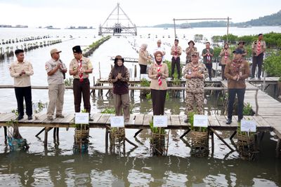 Penanaman 1.000 Bibit Mangrove di Lampung, Wagub Lampung Jihan Dorong Pelestarian Lingkungan Lebih Masif