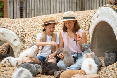5 Mini Zoo di Depok yang Seru untuk Ngisi Waktu Liburan Sekolah Anak