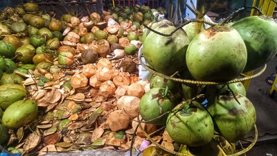 Segar dan Penuh Khasiat: Ini 7 Manfaat Air Degan Ijo bagi Kesehatan Tubuh
