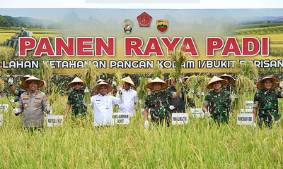 Dorong Kemandirian Pangan, Wagub Sumut dan Panglima TNI Panen Raya Padi di Deliserdang