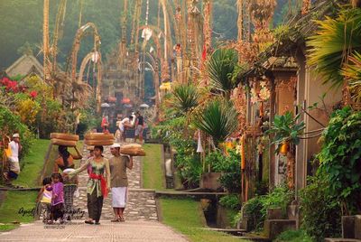 Bukan Sekadar Spot Instagramable, Desa Penglipuran Bali Tawarkan Ketentraman yang Sulit Dilupakan