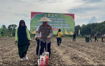 Tanam Jagung Bareng Forkopimda, Kapolda Sultra Dorong Kemandirian Pangan di Konawe