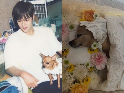 Lee Min Ho Berduka, Anjing Kesayangannya Choco Mati Setelah 16 Tahun Bersama