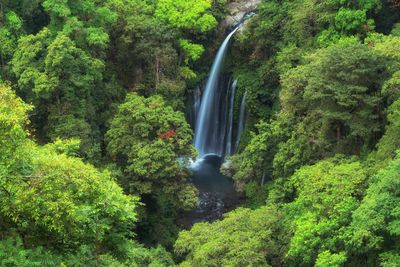 Tiu Kelep, Surga Tersembunyi di Lombok yang Bikin Kamu Lupa Capek!