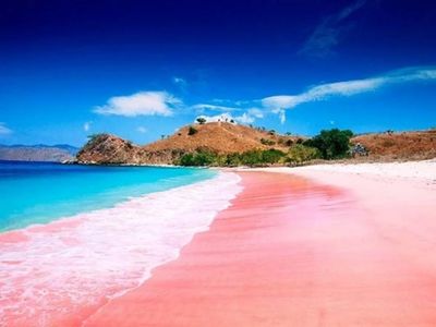 Pink Banget! Pantai Unik di Lombok Ini Punya Pasir Warna Rose Asli, Bukan Efek Filter
