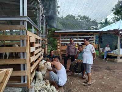 Dukung Progam Ketahanan Pangan, Polsek Plered Sambangi Peternak Domba