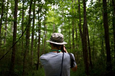 111 Caption Bahasa Inggris tentang Hutan, Singkat Aesthetic!