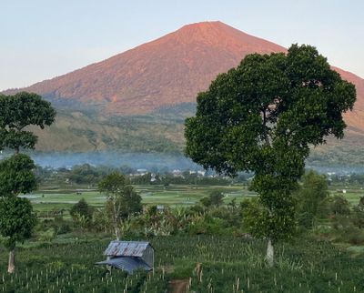 Berwisata ke Sembalun? Bukit 360 Jadi Andalan