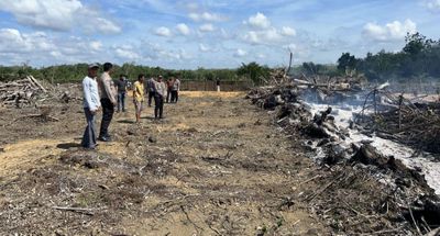 Polisi Tindak Tegas Pelaku Pembakaran Lahan, Satu Orang Diamankan