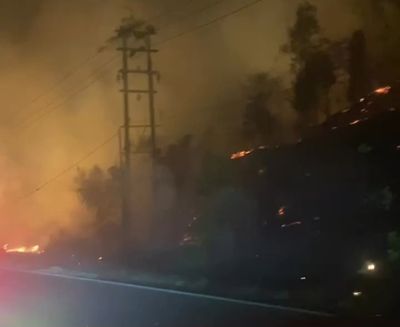 Kebakaran Hutan Melanda Perbatasan Sumbar-Riau