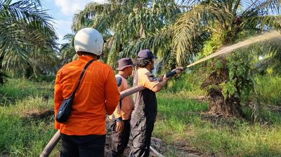 Dua Hari Berturut Karhutla Terjadi di Tanjab Barat, Penyebab Belum Diketahui