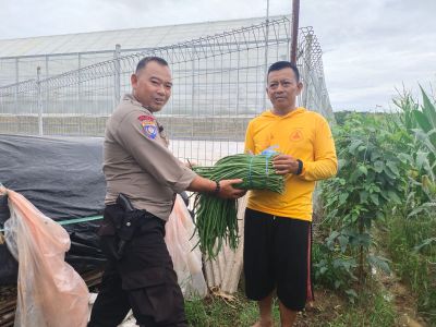 Rutin Lakukan Sambang Ke Petani, Upaya Polsek Campaka Dukung Ketahanan Pangan