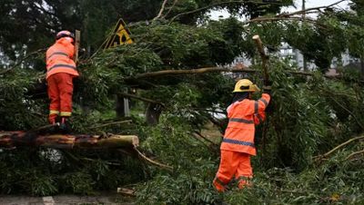 Topan Wipha Hantam Tiongkok Selatan dan Vietnam Utara, Picu Banjir Bandang dan Longsor