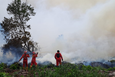 Api Mengamuk di Riau dan Sumbar, Manggala Agni Beraksi di Garis Depan