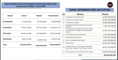 Pemangkasan TKD Picu Dilema Fiskal Daerah, Guru Besar UGM Soroti Kemandirian Fiskal Minim
