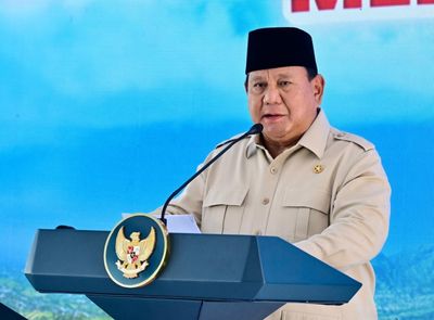 Alasan Presiden Prabowo Subianto Beri Abolisi pada Tom Lembong dan Amnesti untuk Hasto Kristiyanto