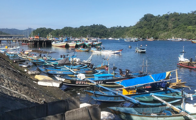 Menjaga Ekosistem Laut Lewat Aksi Nyata di Sendangbiru