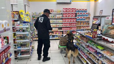 Unit K-9 Polres Purwakarta Diterjunkan ke TKP Pembobolan Indomaret, Telusuri Jejak Pelaku Lewat Hidung Terlatih Anjing Pelacak