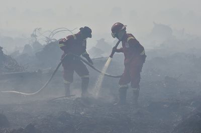 Hari Ke-5, Satgas Karhutla Masih Padamkan 264 Hektare Lahan Gambut yang Terbakar di Jambi