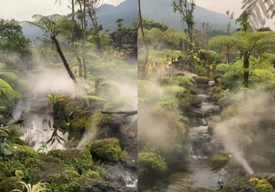 Berkunjung ke Mac 99 Ciapus: Hidden Spot Bogor yang Bikin Berasa Ngopi di Jurassic Park!