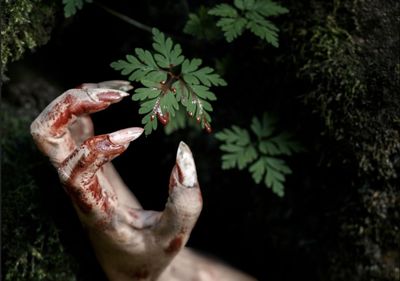 Kisah Santet Tumpes Kelor: Teror Pocong dan Banaspati yang Hantui Satu Keluarga di Pekalongan