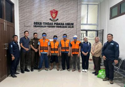 Habitat Harimau Sumatera Terancam, 4 Pelaku Ilegal Logging Akhirnya Dilimpahkan Ke Kejaksaan