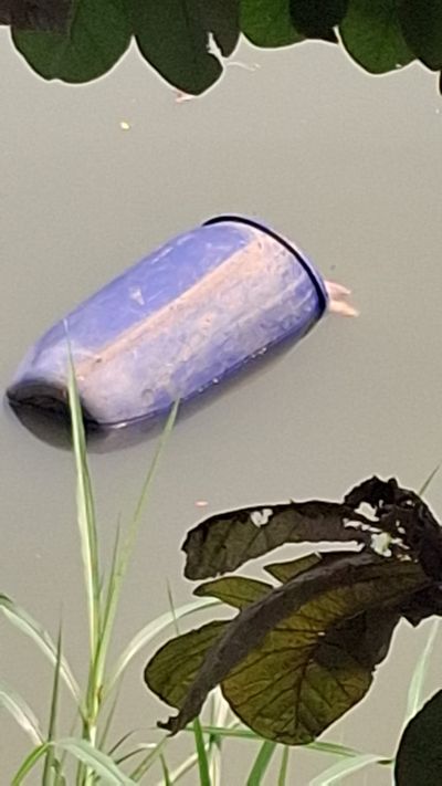 Ditemukan Jasad Wanita dalam Drum di Sungai Cisadane, Kota Tangerang