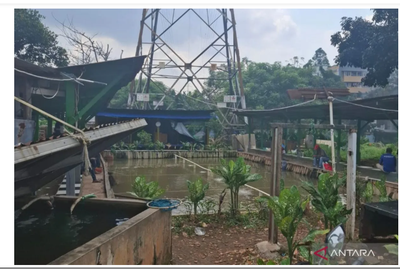 Permukiman di Tengah Makam, Potret Miris TPU Kebon Nanas