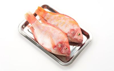 7 Manfaat Ikan Nila untuk Kesehatan Tubuh yang Jarang Diketahui