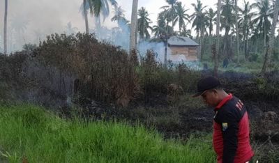 Lahan Semi Gambut Terbakar di Tanjab Barat, Petugas Sigap Cegah Api Meluas ke Permukiman