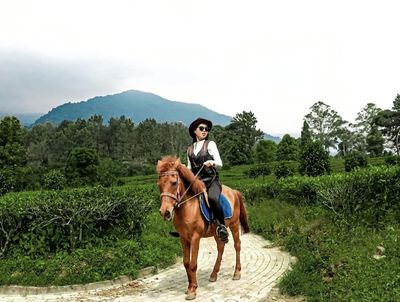 5 Spot Menarik di Agro Wisata Gunung Mas Puncak yang Wajib Kamu Eksplor