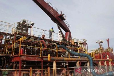 Harga Referensi Minyak Sawit Naik di Agustus 2025, Imbas Pemintaan India dan China