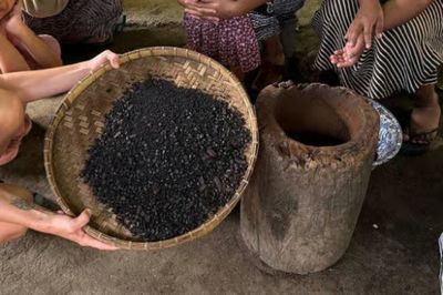Mengenal Kopi Beras Tetebatu: Minuman Khas Lombok Timur yang Kaya Manfaat