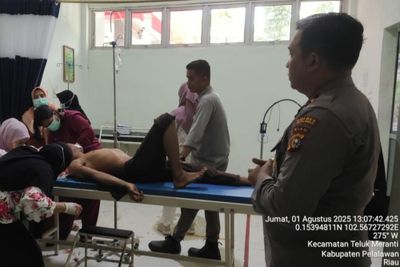 Konflik Satwa di Riau: Pekerja Luka Parah Diserang Harimau Sumatera