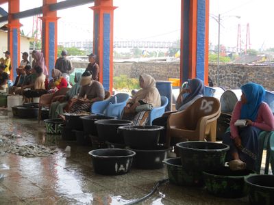 Woman in Maritime: Peran Perempuan dan Rantainya dalam Aktivitas Pelabuhan Tawang Kendal